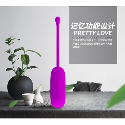 派蒂拉强震迷你子弹跳蛋充电款Patilla Strong Shock Mini Bullet Vibrating Egg Charging Model