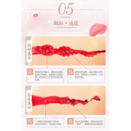 带头半身娃娃